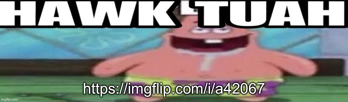 hawk tuah patrick v2 | https://imgflip.com/i/a42067 | image tagged in hawk tuah patrick v2 | made w/ Imgflip meme maker