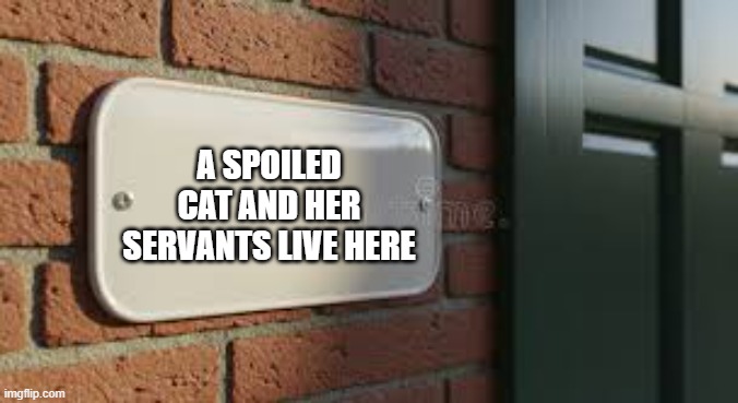 Our house sign says "A spoiled cat and her servants live here."    - funny - | A SPOILED CAT AND HER SERVANTS LIVE HERE | image tagged in cats,funny,kittens,humor,spoiled | made w/ Imgflip meme maker