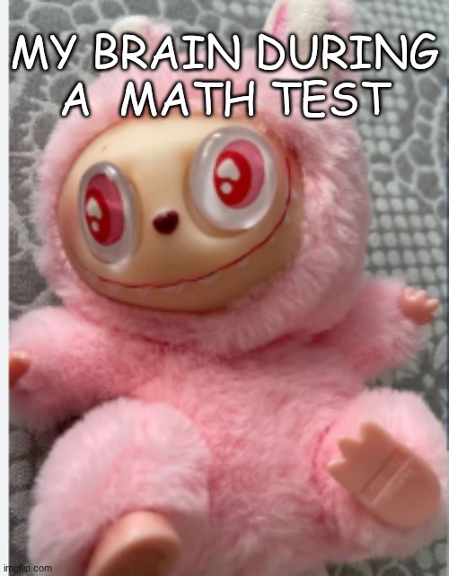 stupid lafufuuu | MY BRAIN DURING A  MATH TEST | image tagged in stupid lafufuuu | made w/ Imgflip meme maker