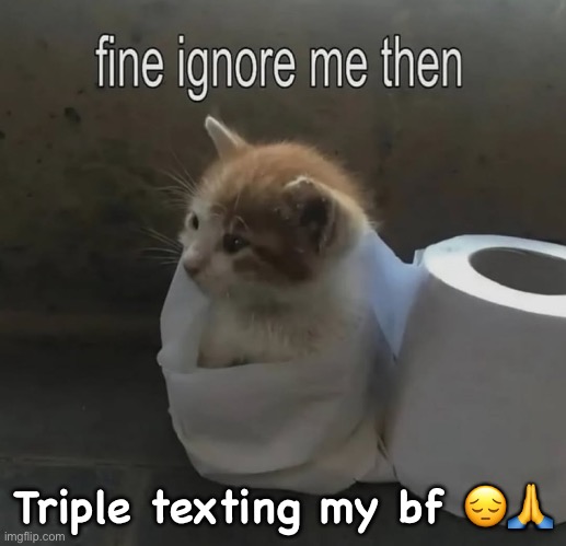 Triple texting my bf 😔🙏 | made w/ Imgflip meme maker