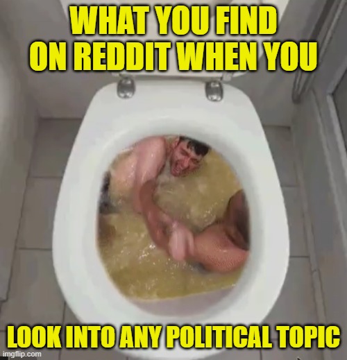 Reddit Hot Takes Be Like | WHAT YOU FIND ON REDDIT WHEN YOU; LOOK INTO ANY POLITICAL TOPIC | image tagged in reddit,politics,fascism,kirk,comment section,assassination | made w/ Imgflip meme maker