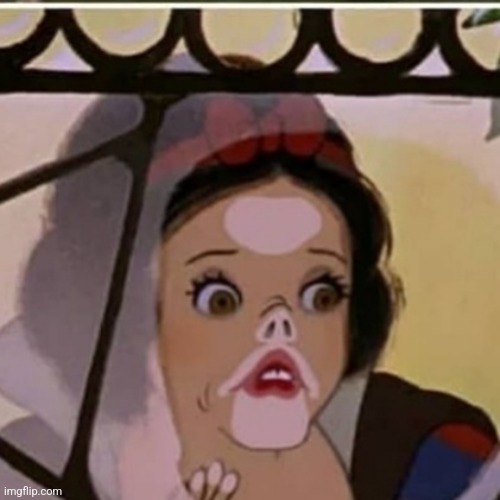 Me when | image tagged in snow white pakidge blank | made w/ Imgflip meme maker