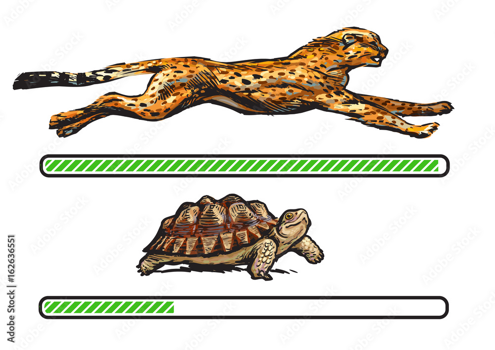 Cheetah and Turtle Comparison Blank Meme Template