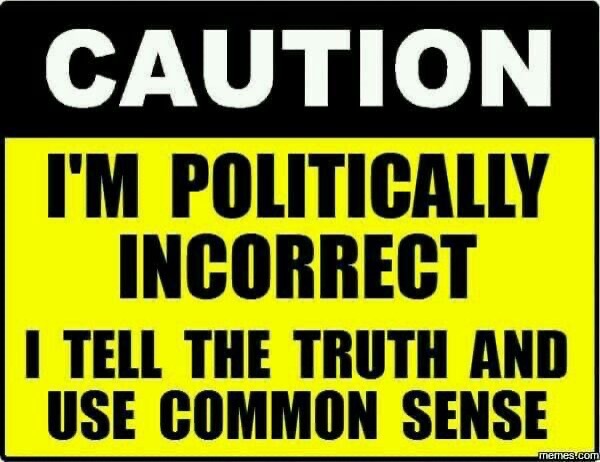 Politically Incorrect | image tagged in im warning you,caution sign,politically incorrect,common sense,the truth,libtards | made w/ Imgflip meme maker