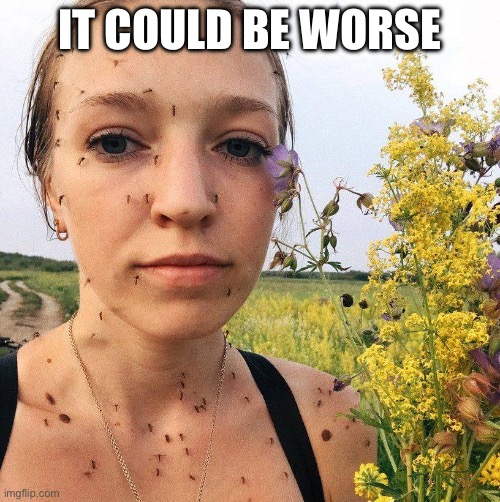 Mosquito Lady | IT COULD BE WORSE | image tagged in mosquito lady | made w/ Imgflip meme maker