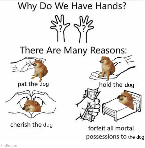 Why do we have hands? (all blank) | dog; dog; dog; the dog | image tagged in why do we have hands all blank | made w/ Imgflip meme maker