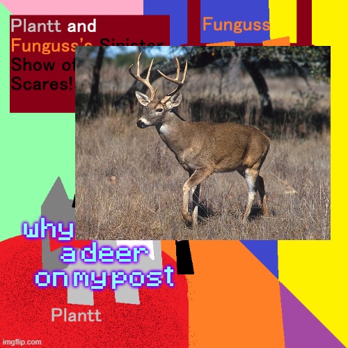 wtf why is there a deer on my post | made w/ Imgflip meme maker