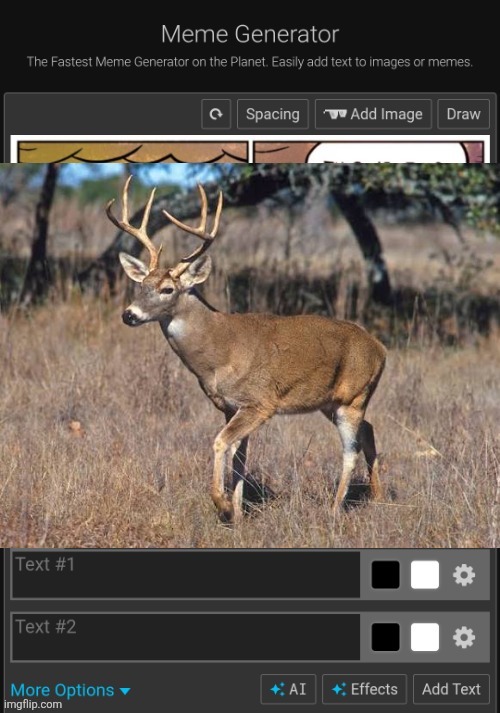 Ts fuckass deer </3 | made w/ Imgflip meme maker