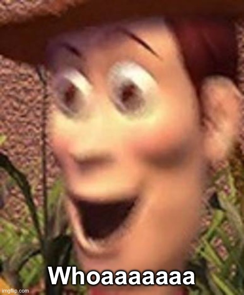 woah | Whoaaaaaaa | image tagged in woah | made w/ Imgflip meme maker