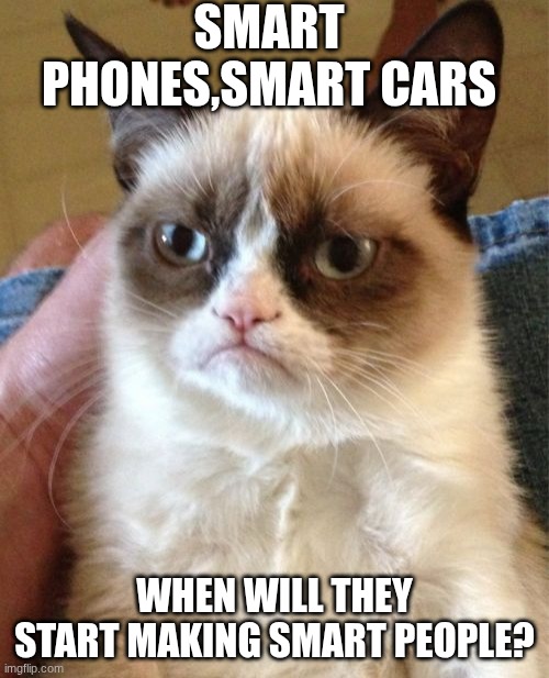 Grumpy Cat | SMART PHONES,SMART CARS; WHEN WILL THEY START MAKING SMART PEOPLE? | image tagged in memes,grumpy cat | made w/ Imgflip meme maker
