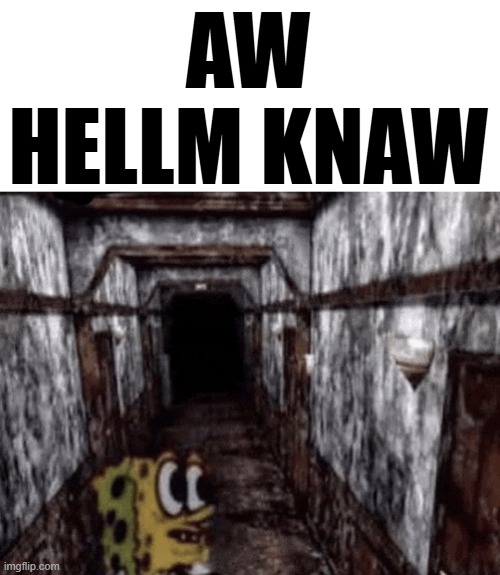 AW HELLM KNAW | made w/ Imgflip meme maker