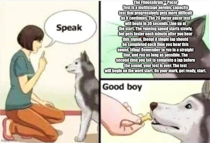 Good boy | The FitnessGram™ Pacer Test is a multistage aerobic capacity test that progressively gets more difficult as it continues. The 20 meter pacer test will begin in 30 seconds. Line up at the start. The running speed starts slowly, but gets faster each minute after you hear this signal. [beep] A single lap should be completed each time you hear this sound. [ding] Remember to run in a straight line, and run as long as possible. The second time you fail to complete a lap before the sound, your test is over. The test will begin on the word start. On your mark, get ready, start. | image tagged in good boy,fitnessgram pacer test | made w/ Imgflip meme maker
