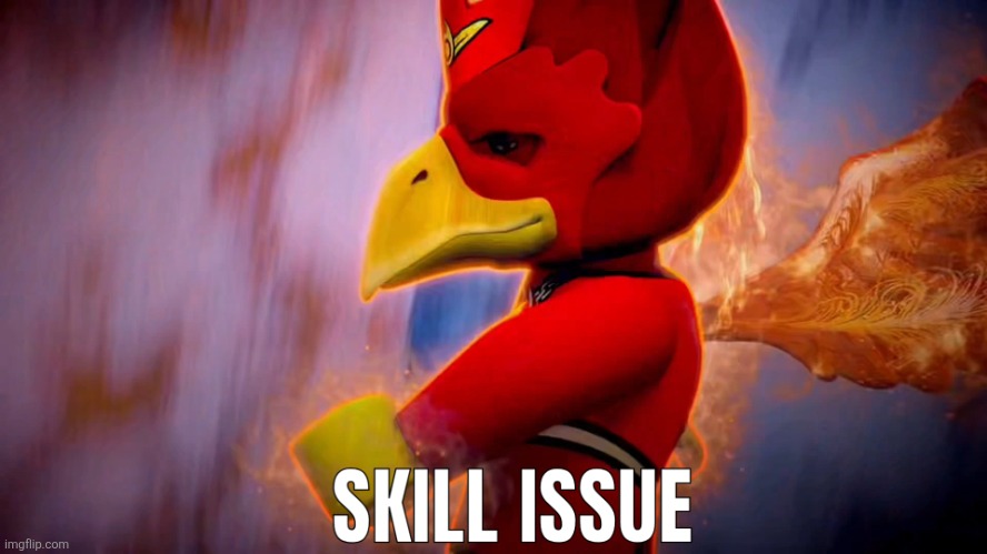 Skill Issue | image tagged in skill issue,funny,funny memes,memes,bird,imgflip | made w/ Imgflip meme maker