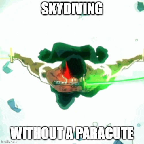 zoro flying | SKYDIVING; WITHOUT A PARACUTE | image tagged in zoro one peice | made w/ Imgflip meme maker