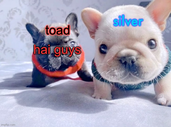 I just realized the pibbles match the font colors and makes it even cuter | hai guys | image tagged in silver and toad's announcement temp | made w/ Imgflip meme maker