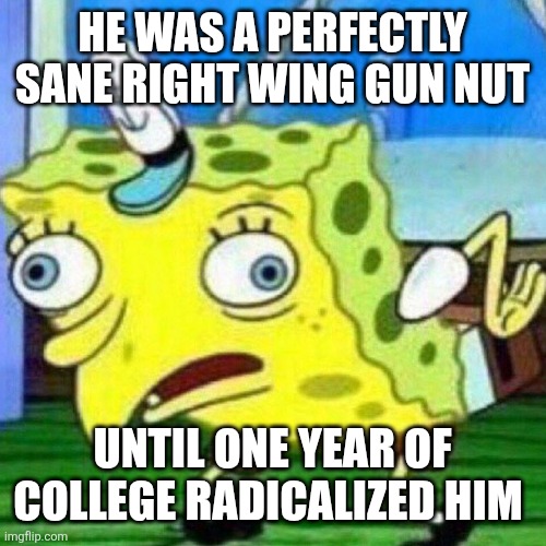 triggerpaul | HE WAS A PERFECTLY SANE RIGHT WING GUN NUT; UNTIL ONE YEAR OF COLLEGE RADICALIZED HIM | image tagged in triggerpaul | made w/ Imgflip meme maker