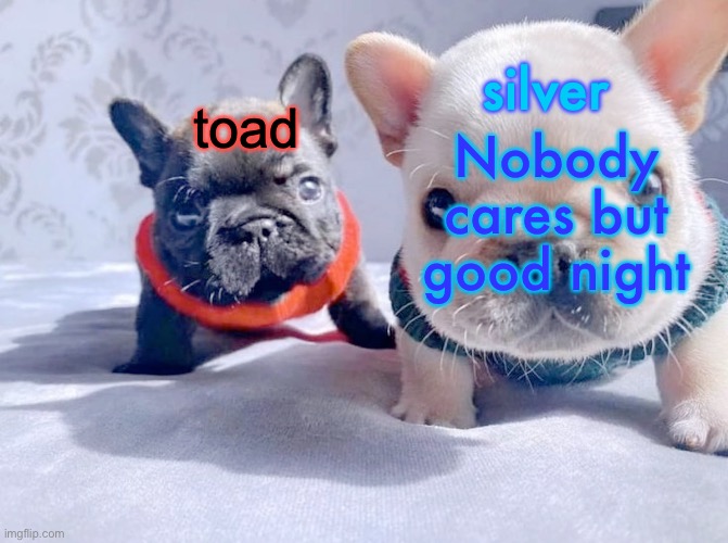 silver and toad's announcement temp | Nobody cares but good night | image tagged in silver and toad's announcement temp | made w/ Imgflip meme maker