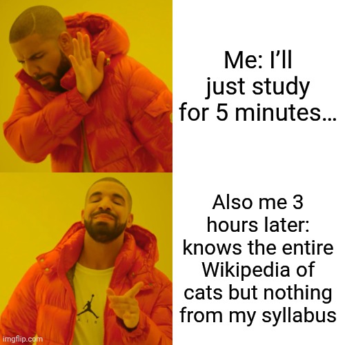 Drake Hotline Bling | Me: I’ll just study for 5 minutes…; Also me 3 hours later: knows the entire Wikipedia of cats but nothing from my syllabus | image tagged in memes,drake hotline bling | made w/ Imgflip meme maker