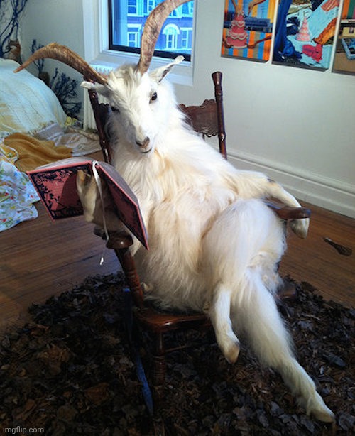 image tagged in taxidermy goat | made w/ Imgflip meme maker
