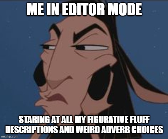 Writer in Edit Mode | ME IN EDITOR MODE; STARING AT ALL MY FIGURATIVE FLUFF DESCRIPTIONS AND WEIRD ADVERB CHOICES | image tagged in kuzco skeptical | made w/ Imgflip meme maker