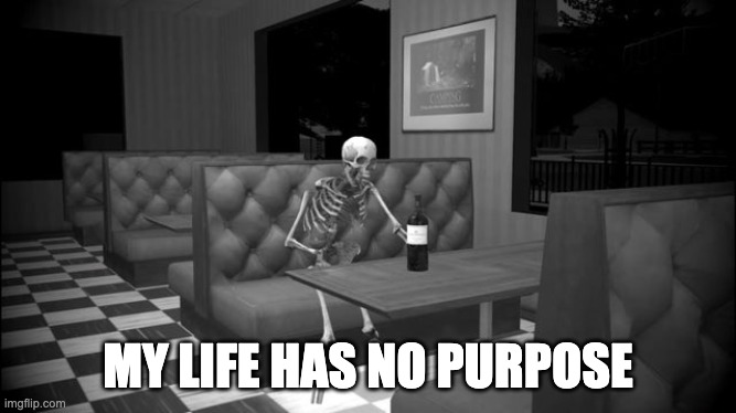 Sad skeleton | MY LIFE HAS NO PURPOSE | image tagged in sad skeleton | made w/ Imgflip meme maker
