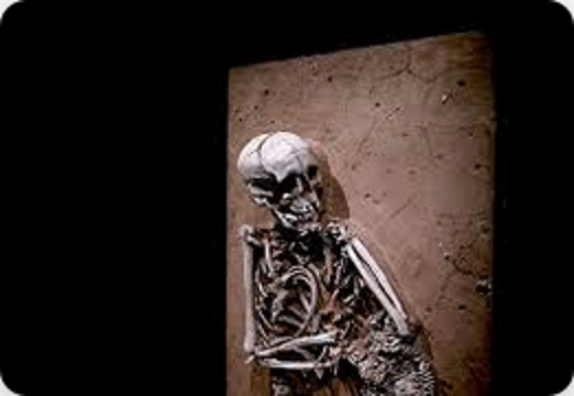 Skeleton Blank Meme Template