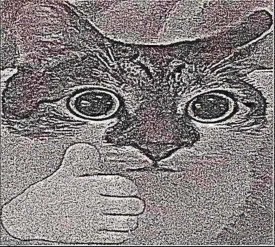 image tagged in bombastic side eye cat v2 | made w/ Imgflip meme maker