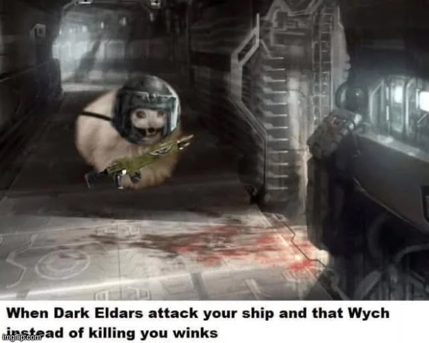 “I can fix Her.” | image tagged in memes,shitpost,warhammer40k,drukhari | made w/ Imgflip meme maker