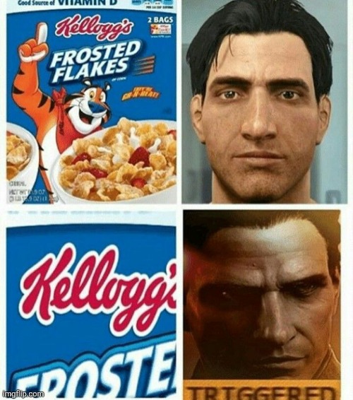 Fallout meme | image tagged in fallout,fallout 4,gaming,video games | made w/ Imgflip meme maker