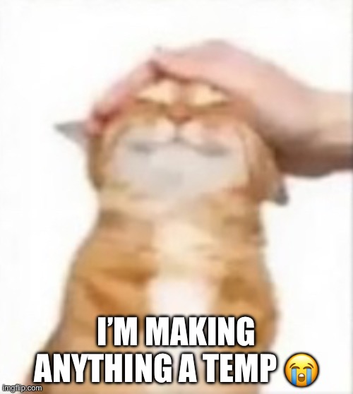 Cat being petted | I’M MAKING ANYTHING A TEMP 😭 | image tagged in cat being petted | made w/ Imgflip meme maker