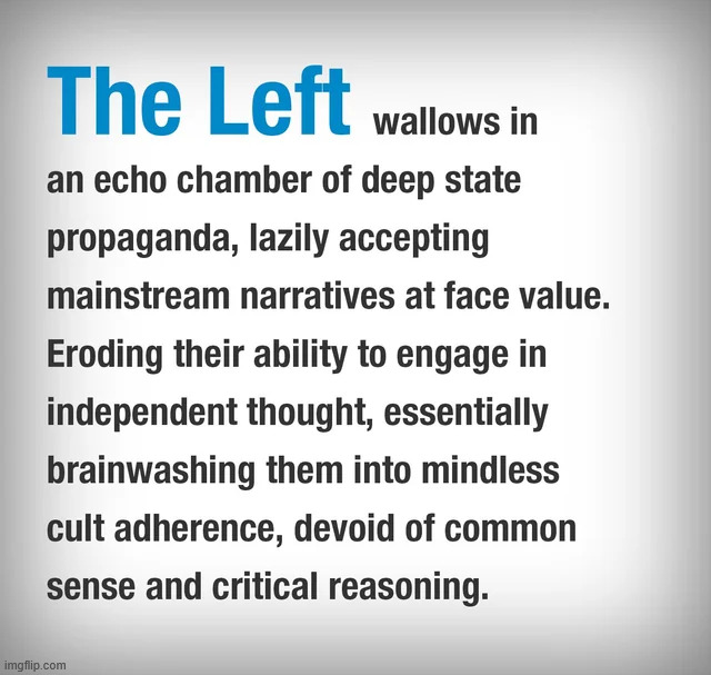 The Left | image tagged in political,reposts,the left | made w/ Imgflip meme maker