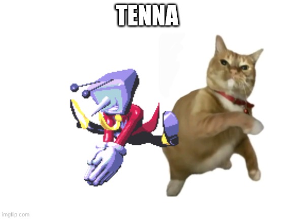 .. | TENNA | image tagged in throwing cat new | made w/ Imgflip meme maker