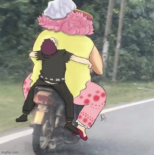 a One Piece meme | image tagged in fat guy on motorcycle with kid,one piece | made w/ Imgflip meme maker