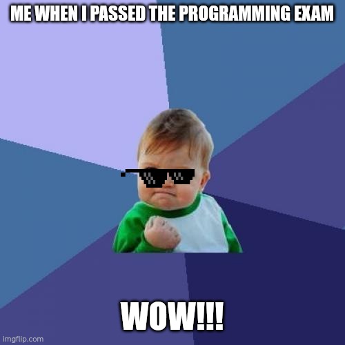 Success Kid | ME WHEN I PASSED THE PROGRAMMING EXAM; WOW!!! | image tagged in memes,success kid | made w/ Imgflip meme maker