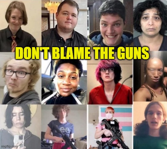 We don't need gun control we need liberals to have self control | DON'T BLAME THE GUNS | image tagged in mass shootings,liberals,second amendment,2a,shooter,pride | made w/ Imgflip meme maker