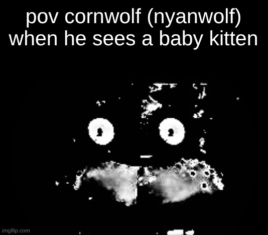 don't touch my pizza was an unfunny corny meme anyways | pov cornwolf (nyanwolf) when he sees a baby kitten | image tagged in freddy traumatized,stop | made w/ Imgflip meme maker