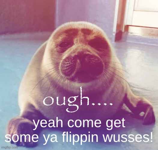 ough…. | yeah come get some ya flippin wusses! | image tagged in ough | made w/ Imgflip meme maker