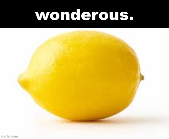 wonderous. | image tagged in wonderous | made w/ Imgflip meme maker