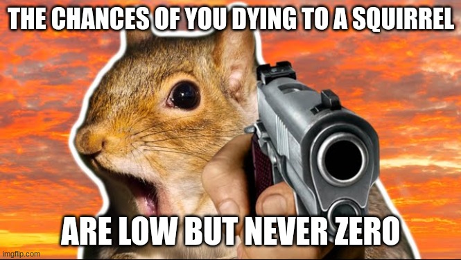 Squirrel With Gun | THE CHANCES OF YOU DYING TO A SQUIRREL; ARE LOW BUT NEVER ZERO | image tagged in squirrel,gun,meme,funny | made w/ Imgflip meme maker