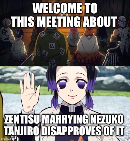Demon slayer | WELCOME TO THIS MEETING ABOUT; ZENTISU MARRYING NEZUKO 
TANJIRO DISAPPROVES OF IT | image tagged in welcome to this meeting about | made w/ Imgflip meme maker