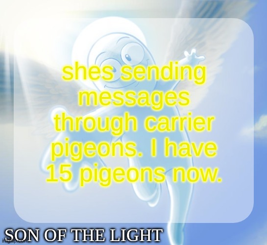 Son of the light temp | shes sending messages through carrier pigeons. I have 15 pigeons now. | image tagged in son of the light temp | made w/ Imgflip meme maker