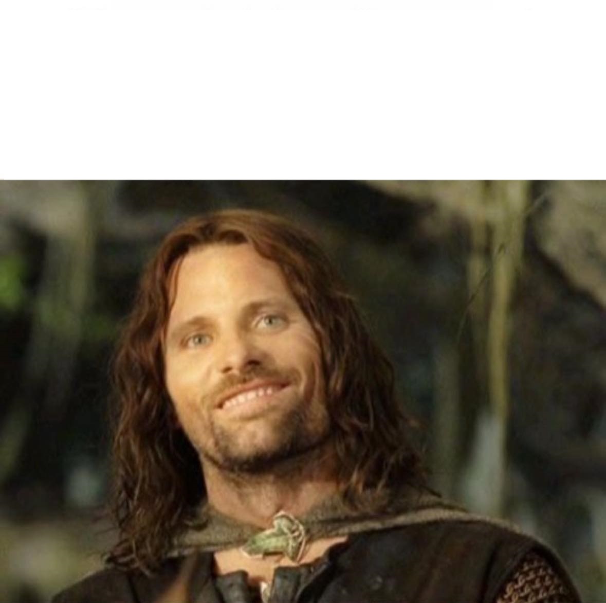 Aragorn Blank Meme Template