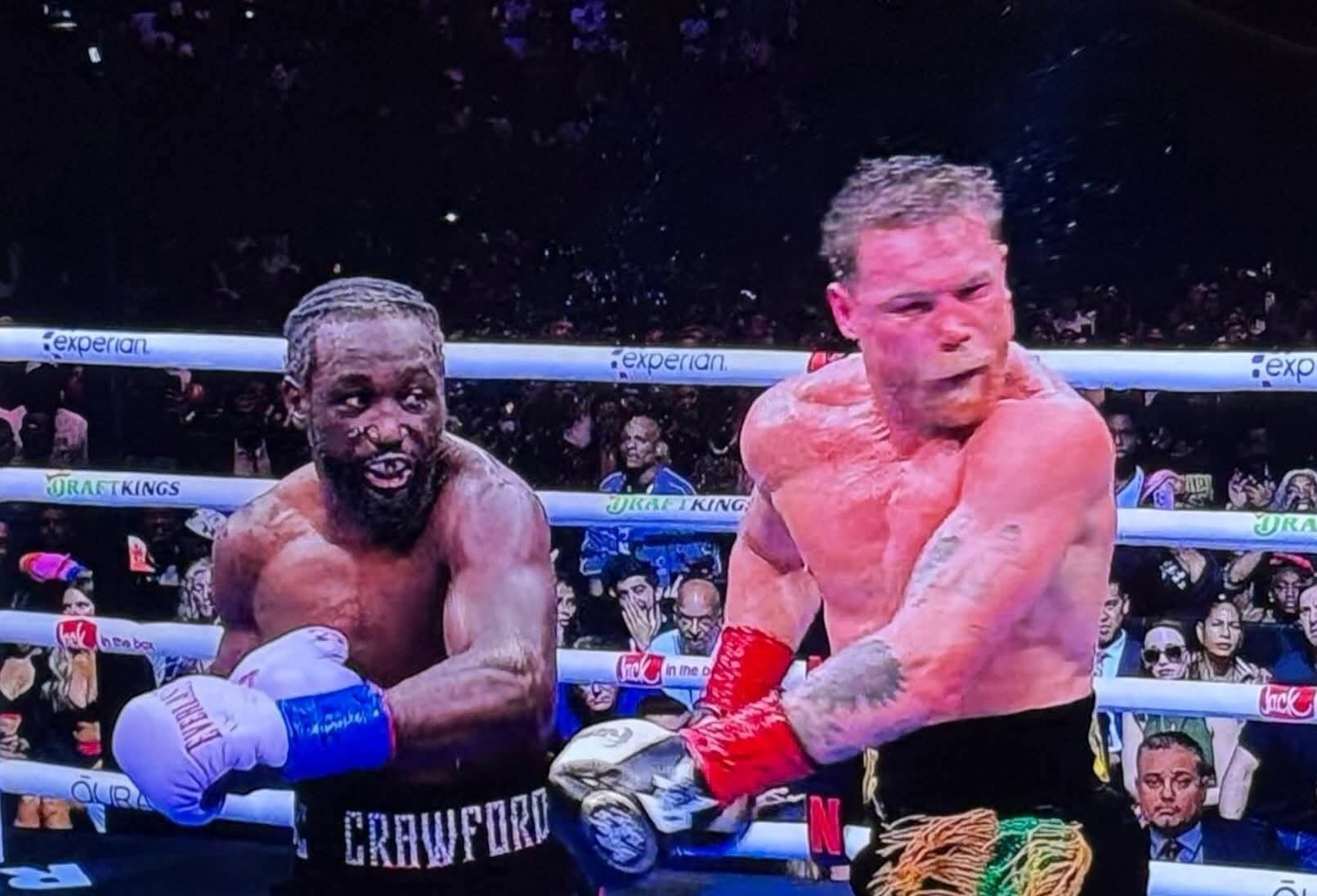 Canelo Blank Meme Template