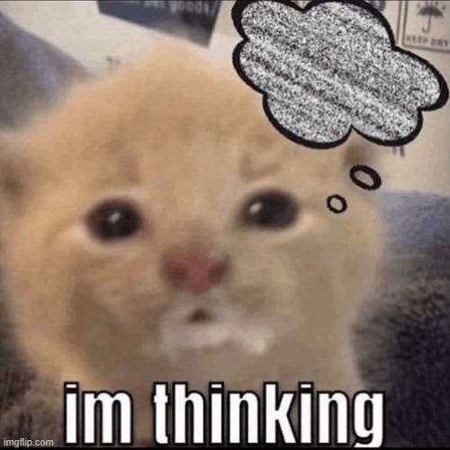 WHY I SAY, "HUH?" | image tagged in vince vance,funny cat memes,i'm thinking,deep thoughts,empty headed,life is hard | made w/ Imgflip meme maker