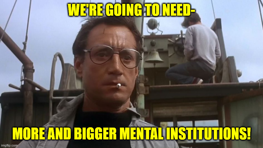 Going to need a bigger boat | WE'RE GOING TO NEED-; MORE AND BIGGER MENTAL INSTITUTIONS! | image tagged in going to need a bigger boat | made w/ Imgflip meme maker