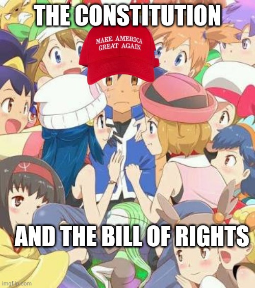THE CONSTITUTION AND THE BILL OF RIGHTS | image tagged in pokemon girls | made w/ Imgflip meme maker