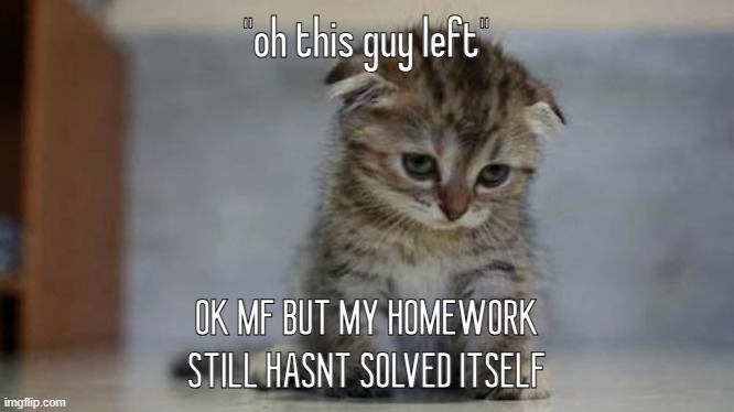 Sad kitten | "oh this guy left"; OK MF BUT MY HOMEWORK STILL HASNT SOLVED ITSELF | image tagged in sad kitten | made w/ Imgflip meme maker
