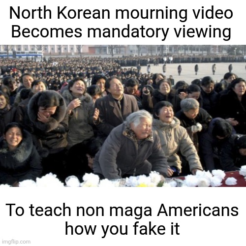 Blank Transparent Square Meme | North Korean mourning video 
Becomes mandatory viewing To teach non maga Americans
 how you fake it | image tagged in memes,blank transparent square | made w/ Imgflip meme maker