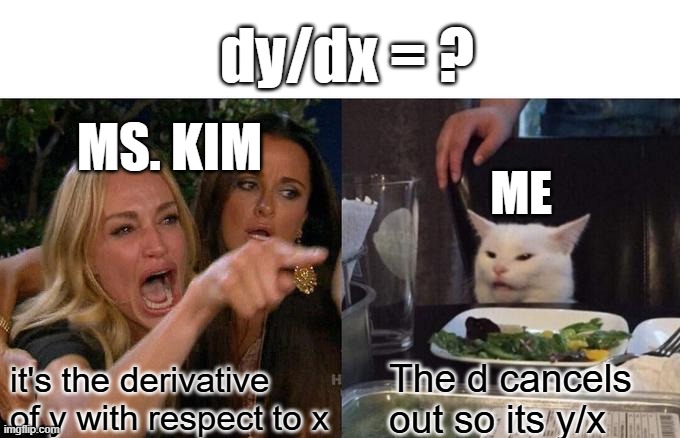 Woman Yelling At Cat Meme | dy/dx = ? MS. KIM; ME; it's the derivative of y with respect to x; The d cancels out so its y/x | image tagged in memes,woman yelling at cat | made w/ Imgflip meme maker