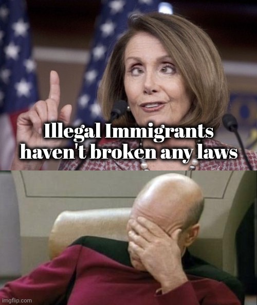 Illegal Immigrants haven't broken any laws | image tagged in nancy pelosi,memes,captain picard facepalm | made w/ Imgflip meme maker
